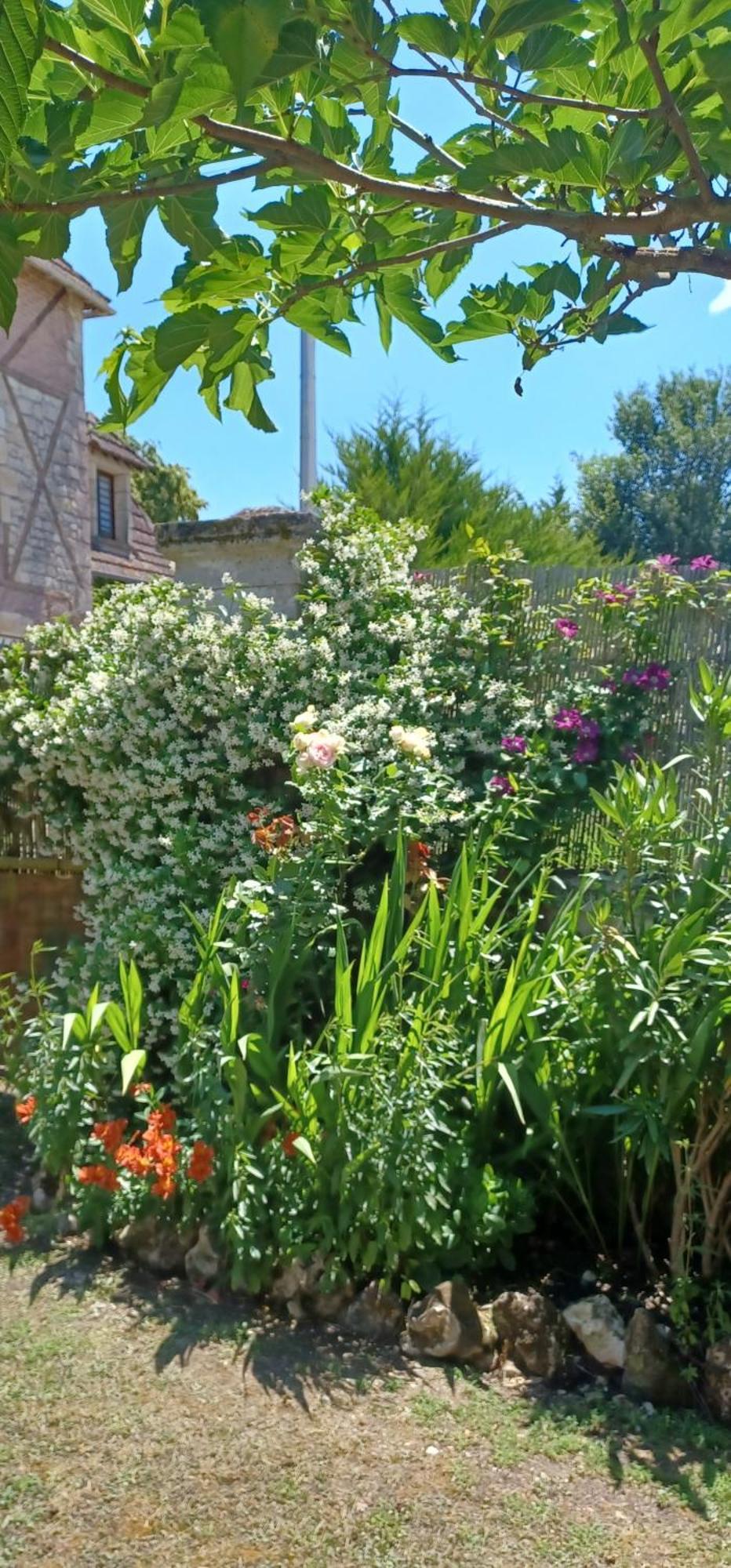 Maison à la Campagne Blis-et-Born Extérieur photo